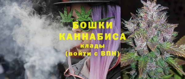 ПСИЛОЦИБИНОВЫЕ ГРИБЫ Алексин