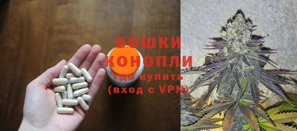 ПСИЛОЦИБИНОВЫЕ ГРИБЫ Алексин